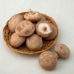 생표고버섯 200g 1봉
