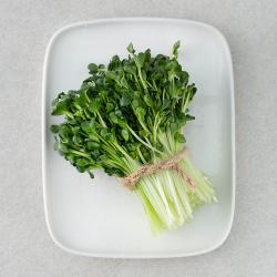 무농약 인증 국내재배 무순 60g 1팩