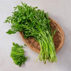 국내산 청도미나리 200g 1봉