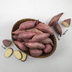 곰곰 맛있는 햇 밤고구마 한입사이즈, 1.5kg, 1봉