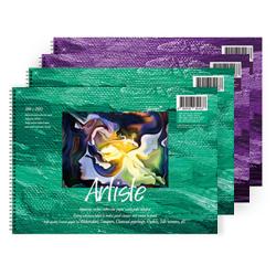 fullcolors 전문가용 스케치북 170g 4p, 16절, 15매