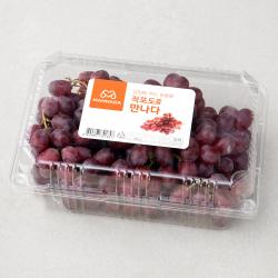  로켓프레시 만나다 칠레 적포도 900g 1개