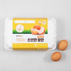 곰곰 무항생제 신선한 왕란 15구 1개