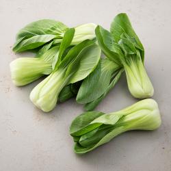 국내산 청경채 1kg 1팩