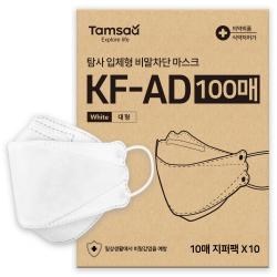탐사 Kf Ad 3d입체 비말차단 마스크 대형 10매 지퍼백 10개