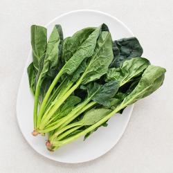 국내산 시금치, 100g, 1봉