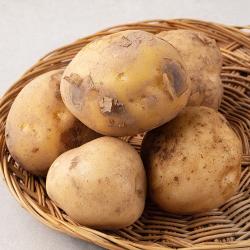 국내산 감자 햇 500g 1봉