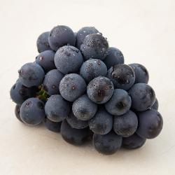 국내산 거봉 500g 1팩