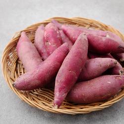곰곰 한입밤고구마 500g 1봉