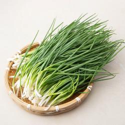 깐쪽파 국내산 1kg 1개