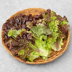 한끼 적상추, 80g, 1봉