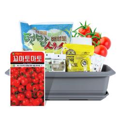 바이오필리아 채소 텃밭세트 + 식물 이름표 랜덤발송 꼬마 토마토