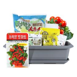 바이오필리아 채소 텃밭세트 + 식물 이름표 랜덤발송, 키작은 토마토