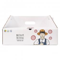 젊은농부 빨간양파즙 100ml 30개