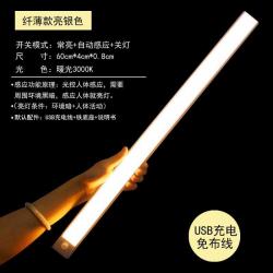 센서벽등 전등이 꺼지다 기 감응 USB 찬장 천 선등 면하다 밤 인체 충전 1단행거블랙 LED 초슬림 야현, 60 센치 실버 따뜻한 빛