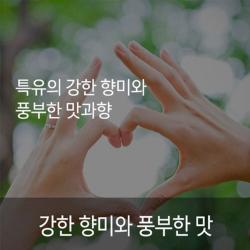 민진로스팅 예가체프G2 1kg 원두커피 볶은커피 주문당일로스팅 시골커피 군고구마향 깔끔한와인향 예가체프 진한원두의향 부드러움의특징 깊은풍미 엄격한품질관리 선물용 집들이용, 1개