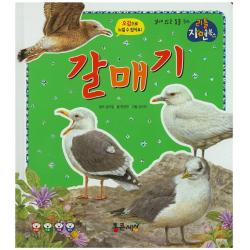 갈매기 통큰세상