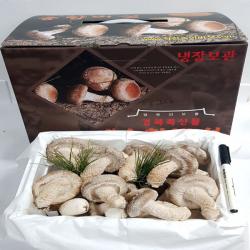 착한송이송향버섯 오전11시전주문시 내일도착 주말 및 공휴일 제외 1박스 실속 선물 500g