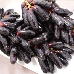 수입과일 블랙사파이어 1kg 2kg 가지포도 껍질째먹는 포도, 1팩