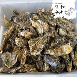 장가네수산 산지직송 통영 생굴 석화 각굴 / 평일오후2시이전까지 당일출발(주말제외), 1box, 석화 10kg