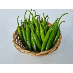 동진농산 맛있게 매운 청양고추 특품 500g/1kg 청양고추 특품 1kg