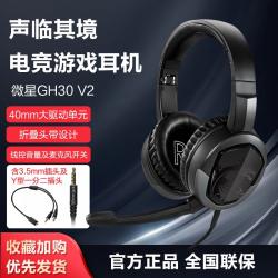 MSI/DS501GH30머리착용식 e-sports게임 이어폰 탁상 전용 마이크 잡음이 줄어들다, T02-블랙, C01-공식모델