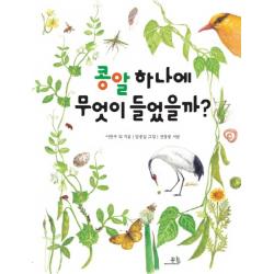 콩알 하나에 무엇이 들었을까? 봄나무