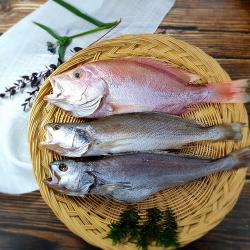 부산 반건조 생선 제수용 세트 특별 구성 상품 A세트 민어조기/적돔/참민어 