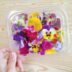 식용꽃 100송이 혼합 대용량 