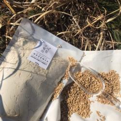 구월의아침 쪄서볶은 귀리분말쉐이크 1kg 미숫가루 선식 500g 4팩