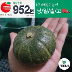 <해돋이농산> 제주 미니밤호박 미니단호박 3kg 5kg 이상 (갯수미정 크기 다양 )