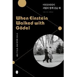 아인슈타인이 괴델과 함께 걸을 때:사고의 첨단을 찾아 떠나는 여행 소소의책