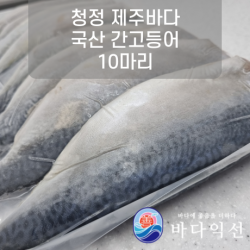 [무진물산] 고등어구이 제주 앞바다 참고등어로 만든 맛있는 간고등어 10마리 (원물 3.2kg 내외) 생선구이 자반 고갈비