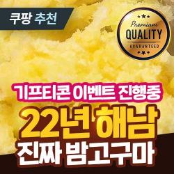 [40년 고구마] 22년 수확 해남 햇 밤고구마 진율미 10kg 5kg 3kg 햇밤고구마