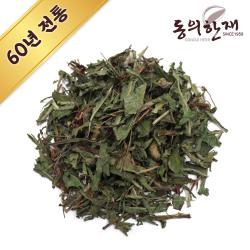 동의한재 자연산 국산 포공영 흰 민들레 잎 300g 단품