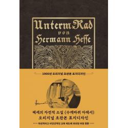 수레바퀴 아래서(초판본)(리커버 한정판)(1906년 오리지널 초판본 표지디자인)(블랙벨벳 에디션), 더스토리