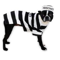 Casual Canine Prison Pooch Costume X-Small 캐주얼 송곳니 Prison Pooch Costume X-Small, nullSET
