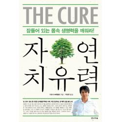 자연치유력:잠들어 있는 몸속 생명력을 깨워라!, 전나무숲