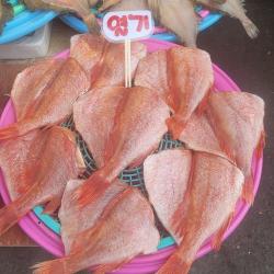 동해 해풍으로 말린 반건조 열기 뽈락 20cm 8미 1.5kg