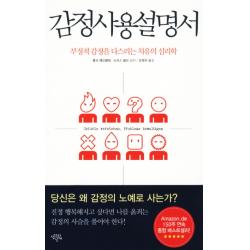 감정사용설명서:부정적 감정을 다스리는 치유의 심리학 생각의날개