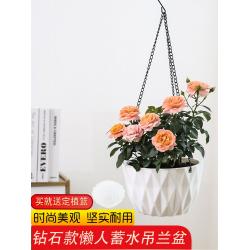 북유럽풍화분 조란 그린 뤄 동전풀 왜소 견우 베란다 매달리다 대야 자흡 물 빈백 비닐 덩크슛 3892759214, 레진