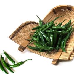 산정 맛있게 매운 청양고추 국내산 청양고추 상 2kg