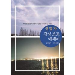 신달자 감성 포토 에세이:소담한 눈꽃의 언어로 삶을 노래하는 시인 문학사상