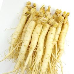 더굿진생 금산 햇 인삼 세척 수삼 실속형 삼계탕 믹서용 원삼, 1개, 원수삼450g(14~16뿌리)