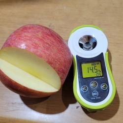 고당도 14브릭스 햇 사과 부사 대과 중소과 가정용 선물세트 10kg 5kg