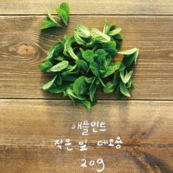 유기농 애플민트 생잎 작은 잎 20g/데코용, 단품