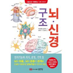 뇌·신경 구조:의료종사자, 스포츠 관계자, 일반인들의 필독서, 성안당, 이시우라 쇼이치