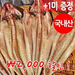 장스토어 반건조 양태 장대 3 12미 외 10종 자연건조 군산항 직송 1세트 양태 장대 중 5미