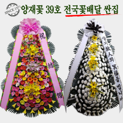  주 꽃파는사람들 축하화환 근조화환 <전국3시간이내 화환 당일배송>