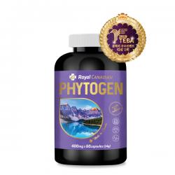 파이토젠 100% 캐나다산 갱년기 개선제 로얄캐네디언 400mg 1병